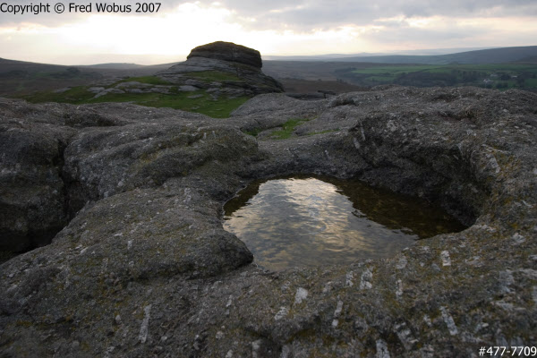 Rainwater pool in Dartmoor