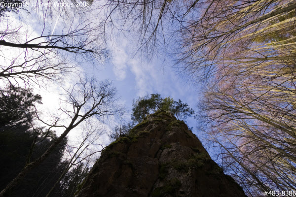 Steinwand Gorge