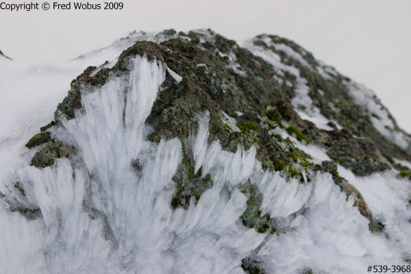 Wind-blown ice crystals