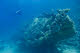 Diver on the Abu Galawa Wreck